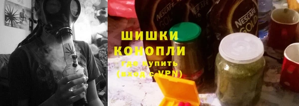 индика Переславль-Залесский