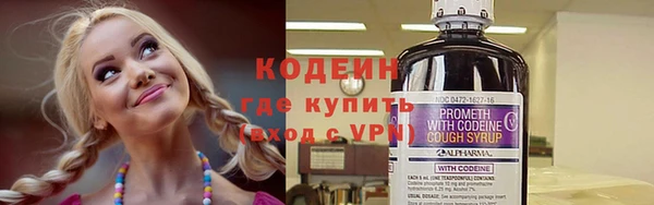 индика Переславль-Залесский