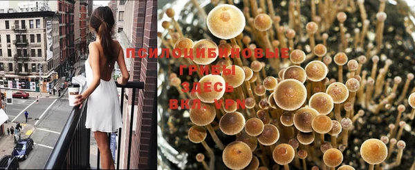 a pvp Пестово