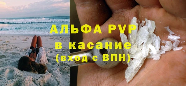 индика Переславль-Залесский