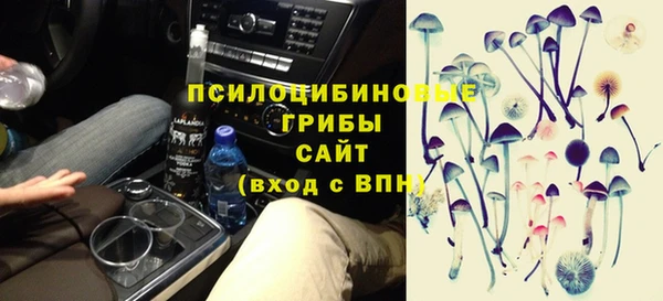 индика Переславль-Залесский
