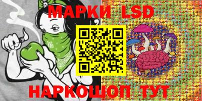 ALPHA PVP Гатчина