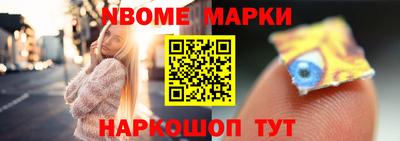стафф Гай