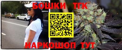 стафф Гай