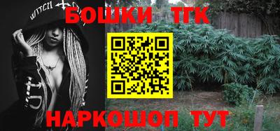 стафф Гай