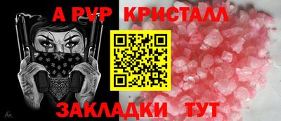 стафф Гай