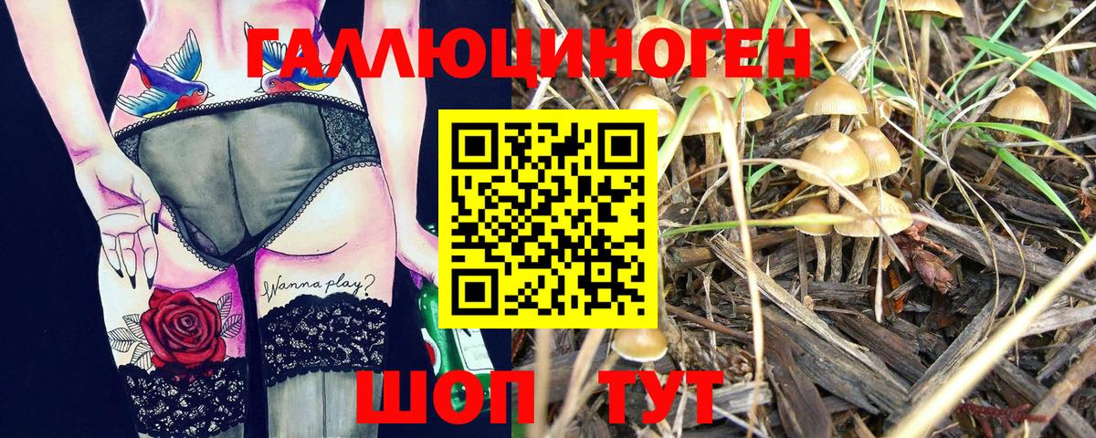 Долгопрудный  Галлюциногенные грибы мухоморы  Псилоцибиновые грибы Psilocybine cubensis  Вход с VPN 