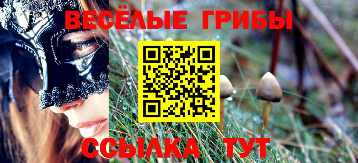 Галлюциногенные грибы мицелий Долгопрудный