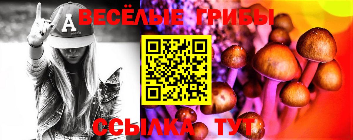 Псилоцибиновые грибы мицелий  Долгопрудный  Псилоцибиновые грибы прущие грибы 