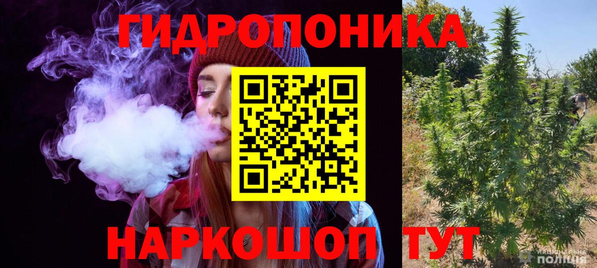 Бошки марихуана планчик Долгопрудный
